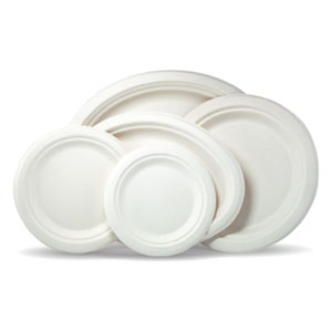 Bagasse Plate Round 7